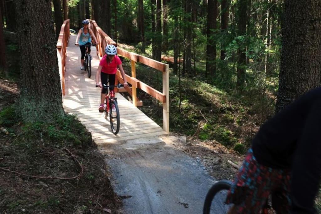 Apartman S Terasou A Vyhledem Na Jezero Lipno Kovarov  Экстерьер фото